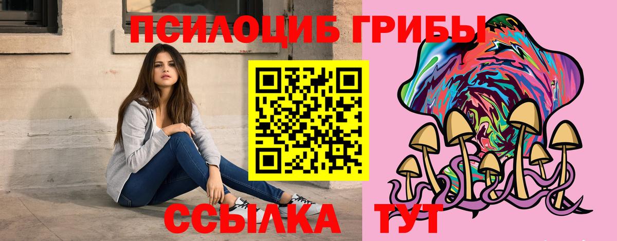 Галлюциногенные грибы GOLDEN TEACHER  купить наркоту  Севастополь  Вход с VPN 
